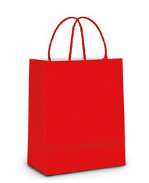 Sacola de Papel G 21x17x8cm - Lisa Cores Diversas